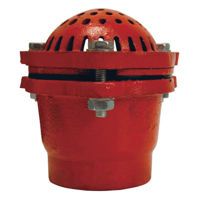 Painted Foot Valves, 4 in Outlet, Female/Female, Cast Iron