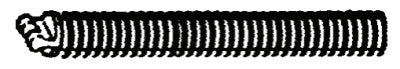 Drain Cleaner Leader, 5/8 in Pigtail