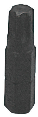 Torx Insert Bit