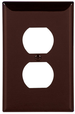 WALLPLATE 1G DUPLEX POLYMID BR