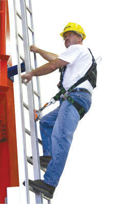 Complete with Rail, Gated Top and Bottom End-Stops; 9 Ladder Attachment Brackets