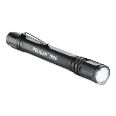 1920 LED Flashlights, 2 Batteries, AAA, 224 lm, Black