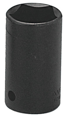 5 Point Black Penta Sockets, 1/2 in Drive, 13/16 in, 5 Points
